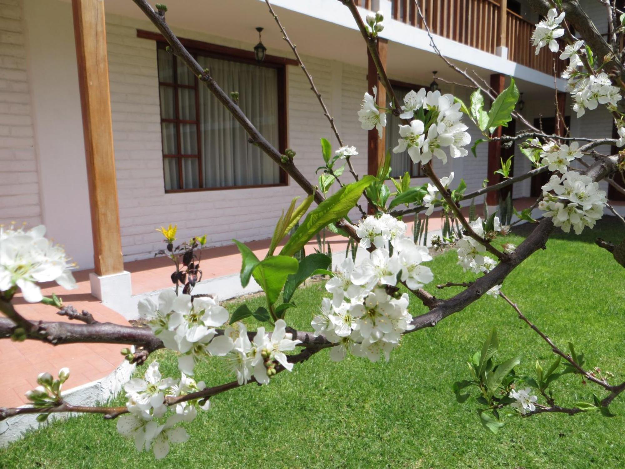 La Quinta San Andres Hotel Ibarra Buitenkant foto