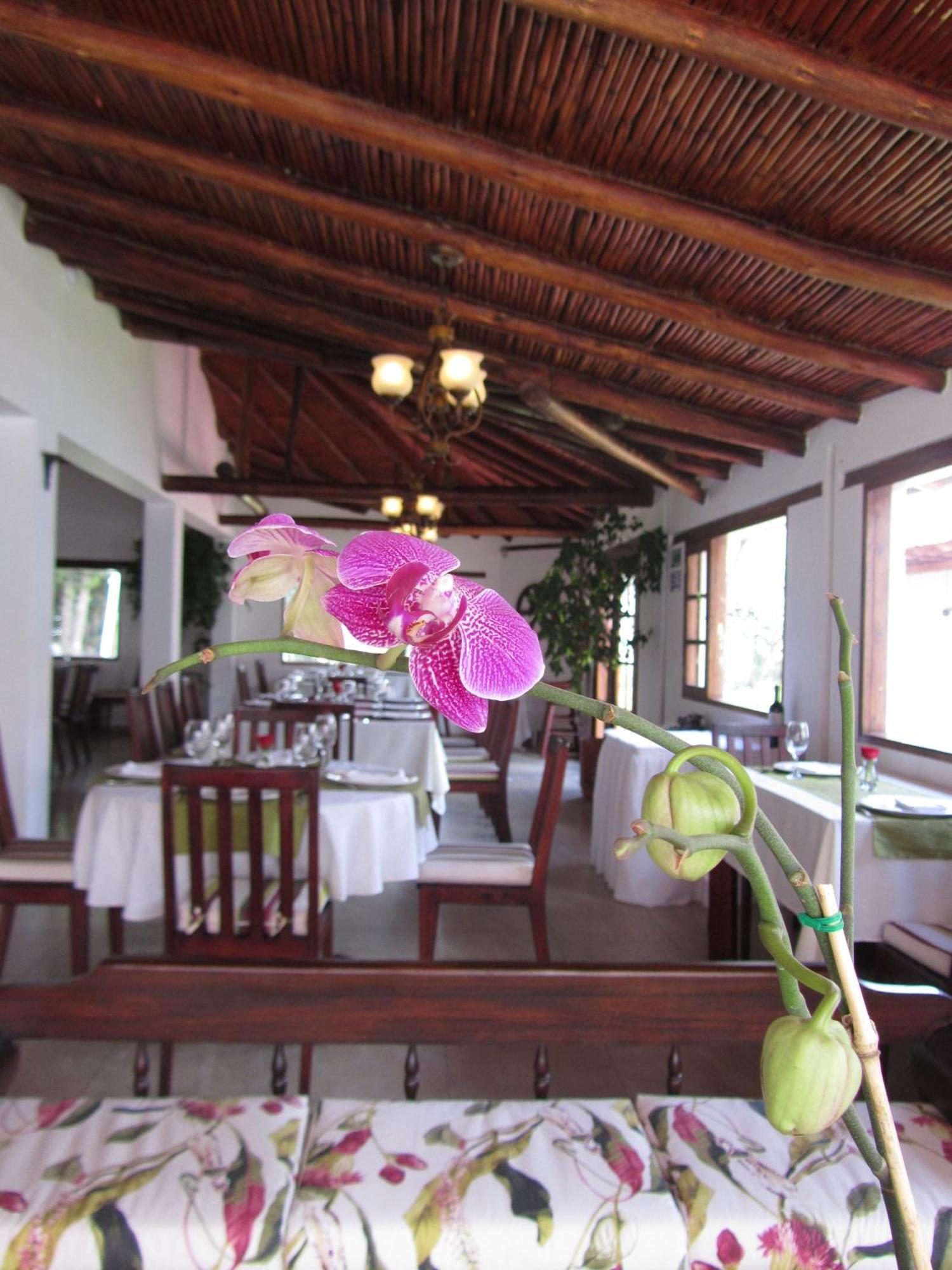 La Quinta San Andres Hotel Ibarra Buitenkant foto